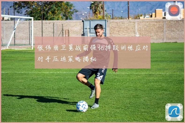 张伟丽卫冕战前强化摔跤训练应对对手压迫策略揭秘