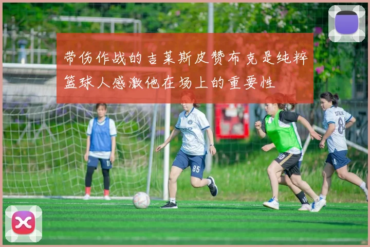 带伤作战的吉莱斯皮赞布克是纯粹篮球人感激他在场上的重要性