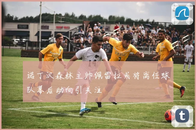 诺丁汉森林主帅佩雷拉或将离任球队幕后动向引关注